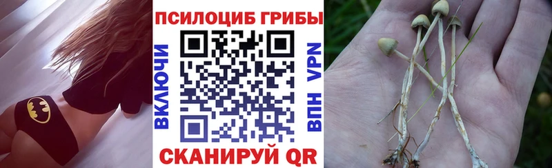 hydra   Микунь  Псилоцибиновые грибы ЛСД 
